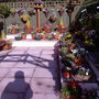 Garden Centre