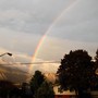 Autumn rainbow