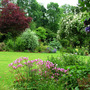 Garden view, late June
