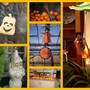 Halloween Collage...