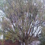 Img00231-20091025-1700