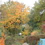 27.10.09_002.jpg