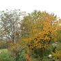 27.10.09_001.jpg