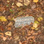 27.10.2009_114.jpg