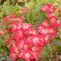 27.10.2009_002.jpg