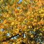 28.10.2009_001.jpg