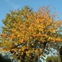 28.10.2009_002.jpg