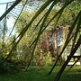28.10.2009_009.jpg