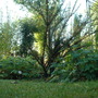 28.10.2009_010.jpg