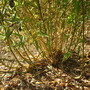 28.10.2009_014.jpg
