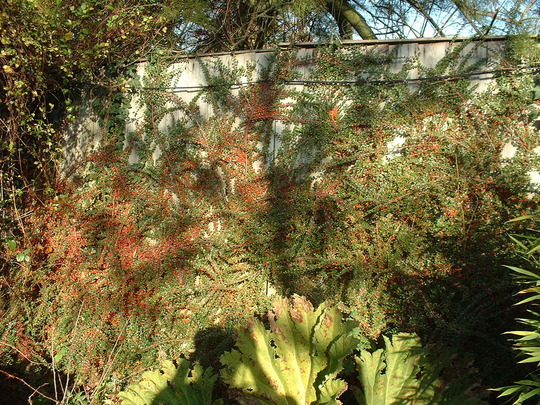 28.10.2009_022.jpg