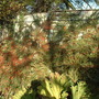 28.10.2009_022.jpg