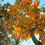 28.10.2009_030.jpg
