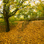 Rufford steps