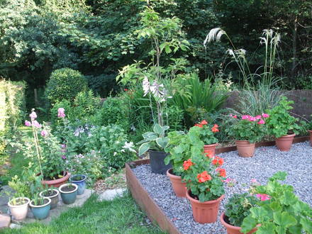 Garden view - right side 