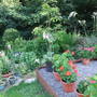 Copy__2__of_dscf0967