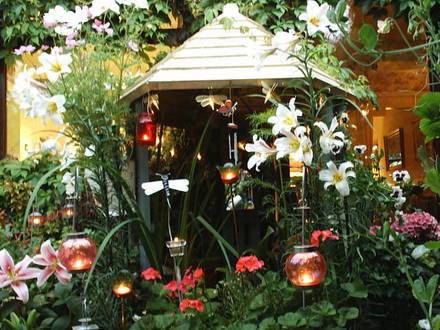 Lilies for TT...