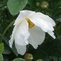 055