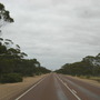 the Nullarbor