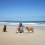 on the beach