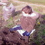 Mmm... digging for worms!!!