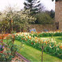 victoria plum 3