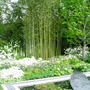 Chelsea_Flower_Show_056.jpg