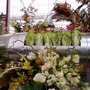 Chelsea_Flower_Show_086.jpg