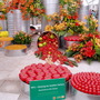 Chelsea_Flower_Show_089.jpg