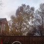 Blowing in the wind