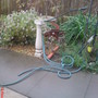 My garden wind damage