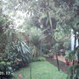 My garden for Dawnsaunt