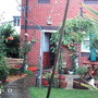 The other side of my garden