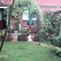 my garden the other side
