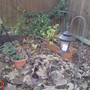 Top where the cedar tree is by the bird bath 