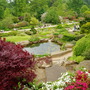 Chelsea_flower_show_043