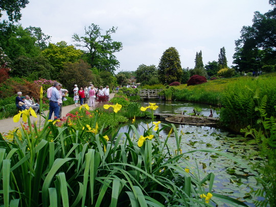 RHS Wisley May 2008