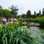 RHS Wisley May 2008