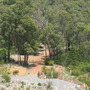 walking trail