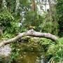 london_weekend_008.jpg