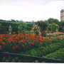 A maze of love 3