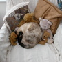 Twinkle and friends.