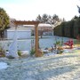 My back garden today