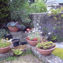 Patio summer 2009 3 of 4