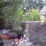 Summer patio 2009 4 of 4