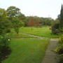 Formal Rose Garden to Main Lawn Acer
