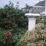 Autumn Garden