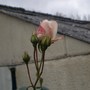 035