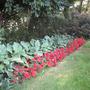 Again many of on kind. Too much one a row here. I will chance that some day.