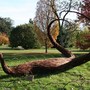 Reed Woven Seed Head Sculptures